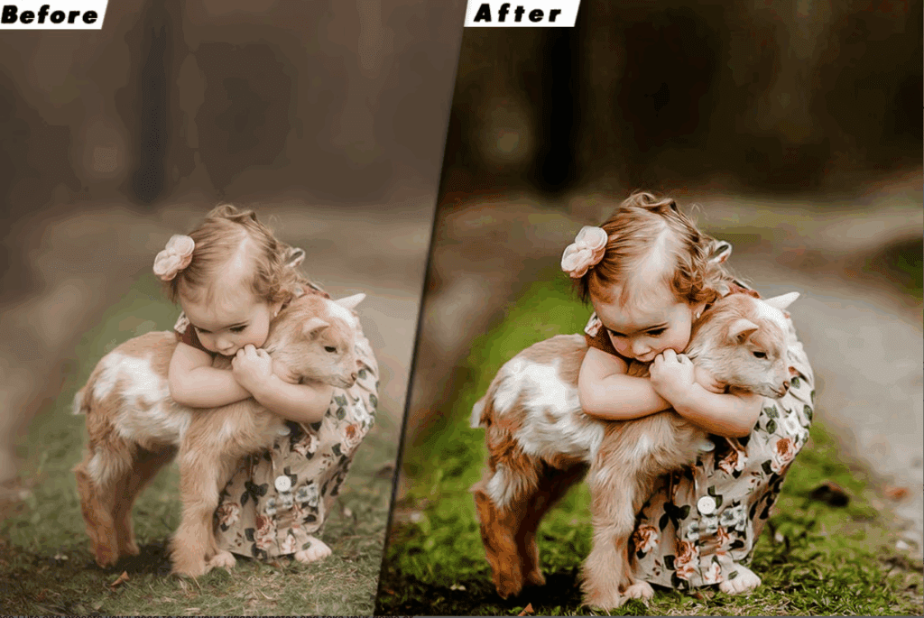 HDR Life Style