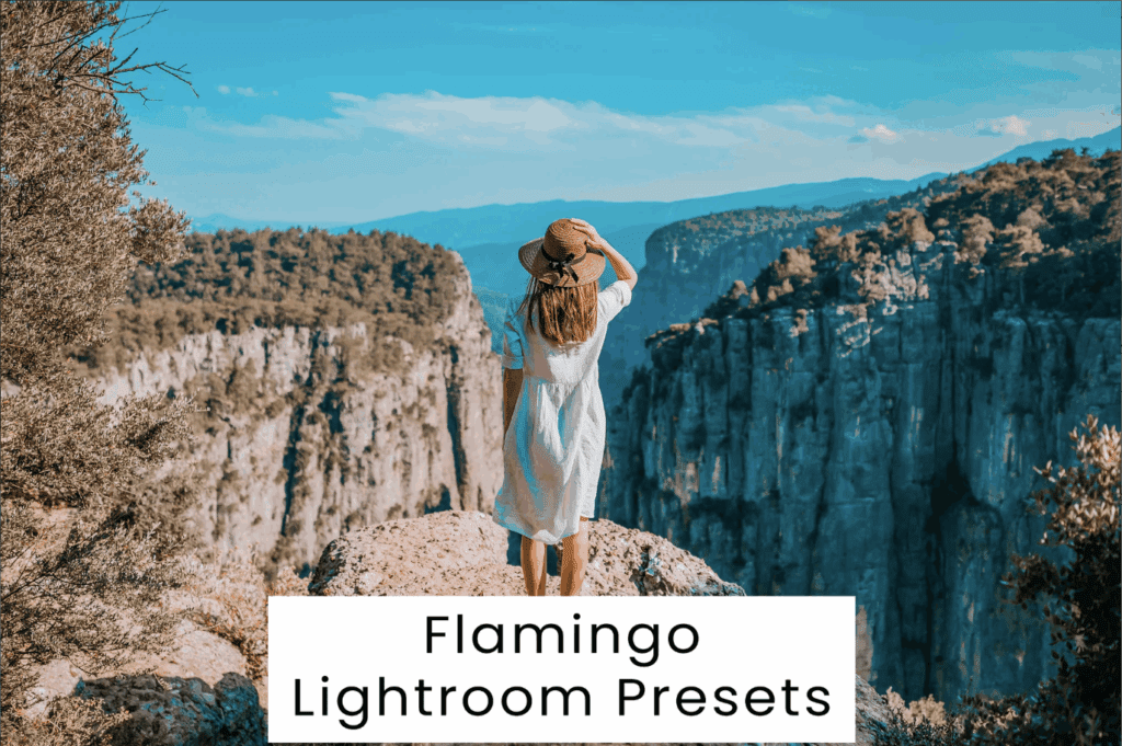 Flamingo Lightroom Presets