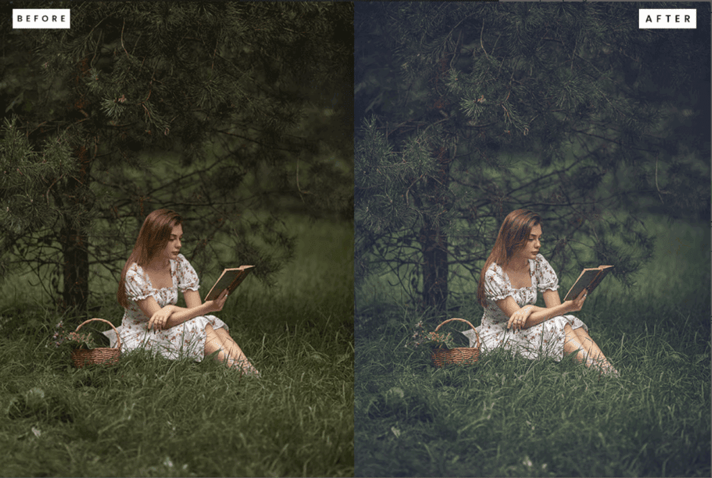 Flamingo Lightroom Presets