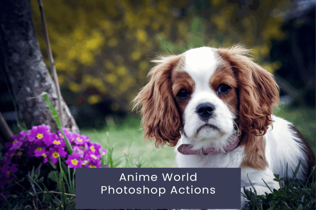 Anime World Photoshop Actions