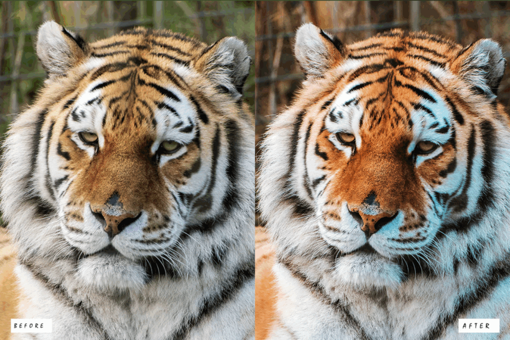 Anime World Photoshop Actions