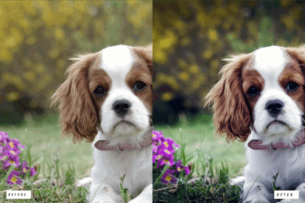 Anime World Photoshop Actions