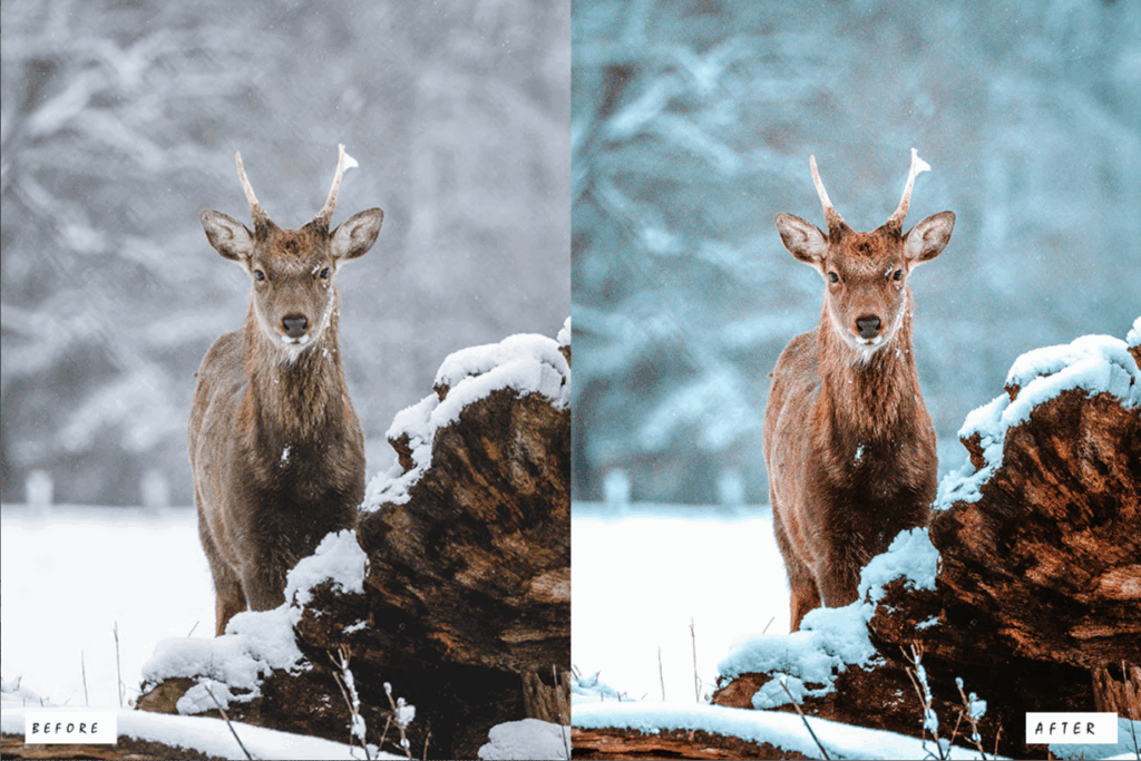 Anime World Photoshop Actions