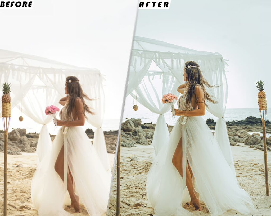 Boho Glow Luts Video Presets Mobile & Desctop